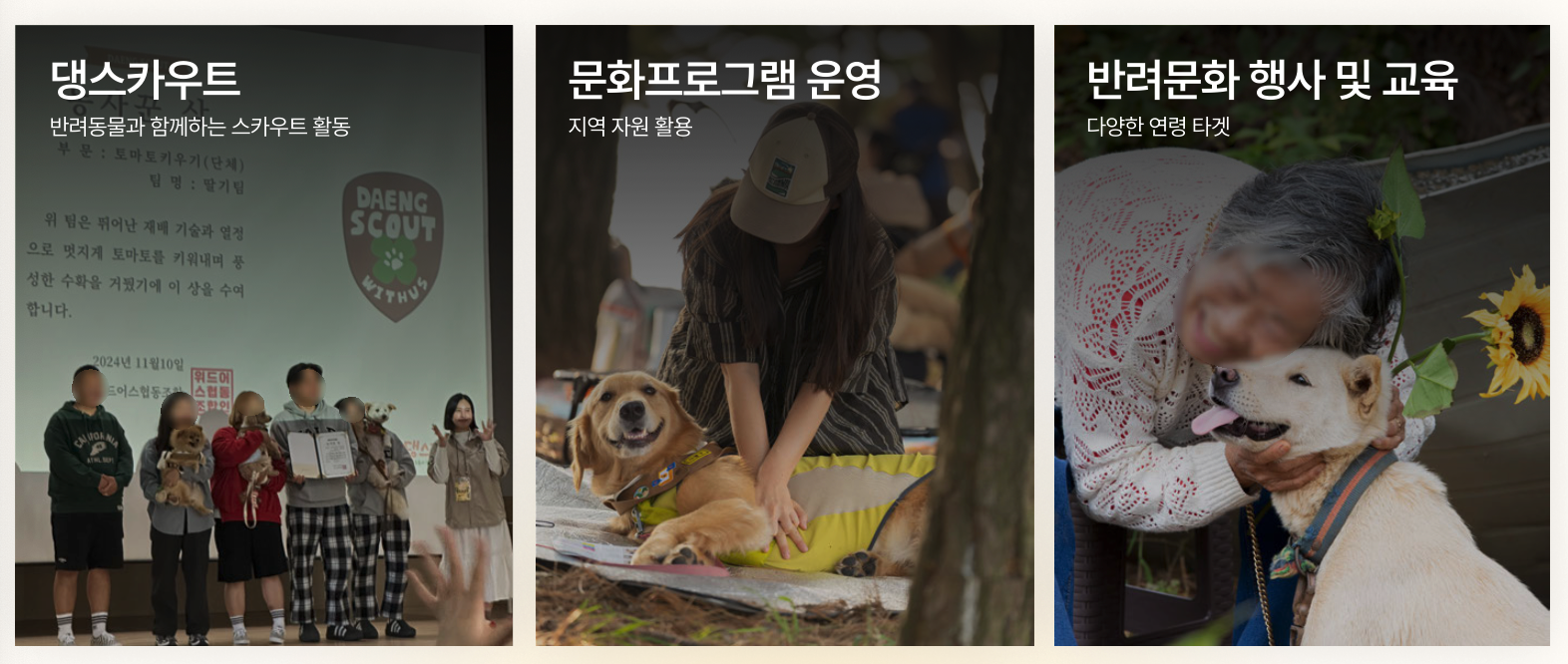 댕스카우트 / 문화 프로그램 운영 / 반려문화 행사 및 교육